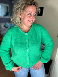 Cardigan Springfeeling