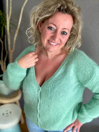 Cardigan Springfeeling