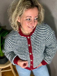 Cardigan Taylor