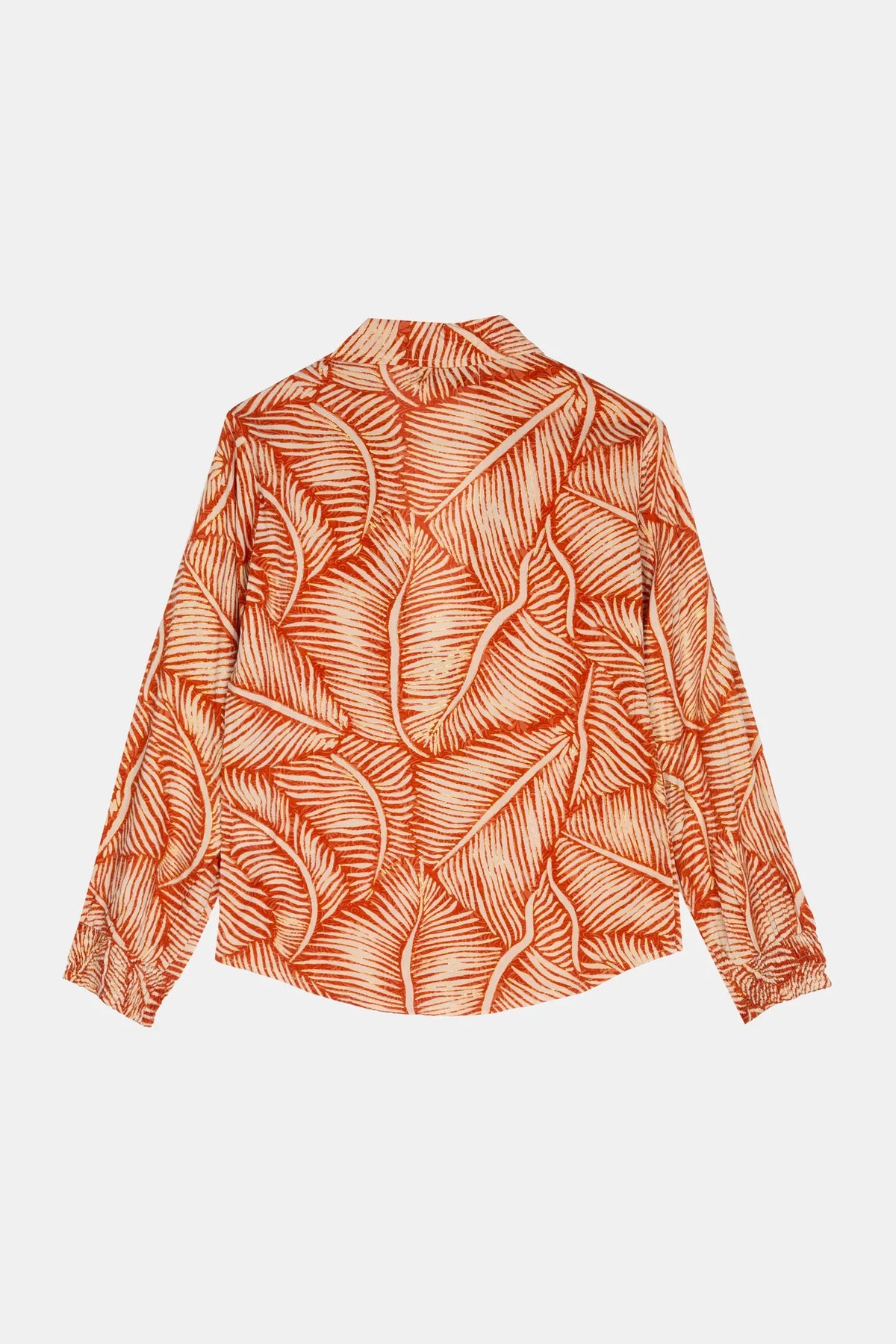 Palm Marron Set
